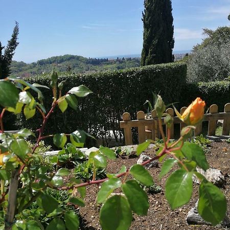 Da Adria Al Corvenale - Casa Vacanze Carrara -别墅 外观 照片