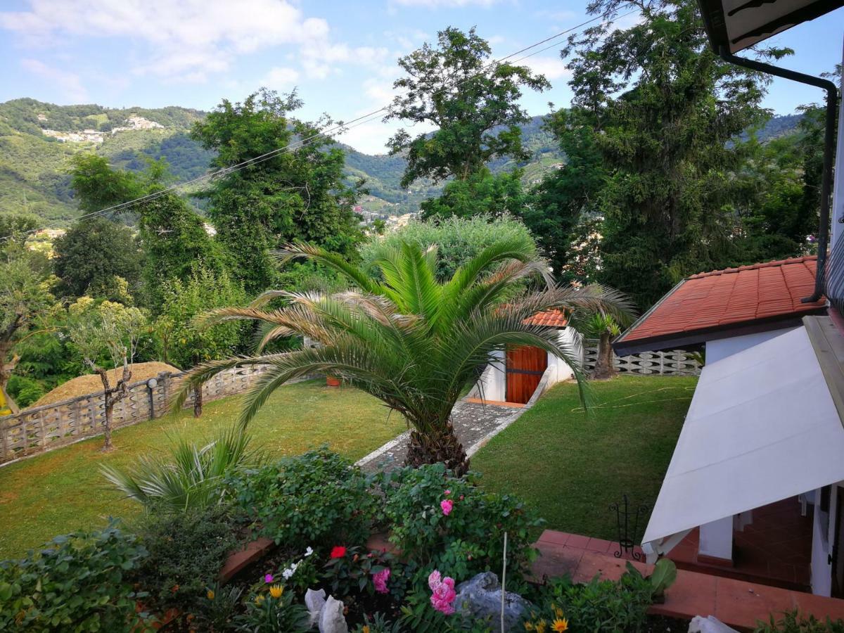 Da Adria Al Corvenale - Casa Vacanze Carrara -别墅 外观 照片