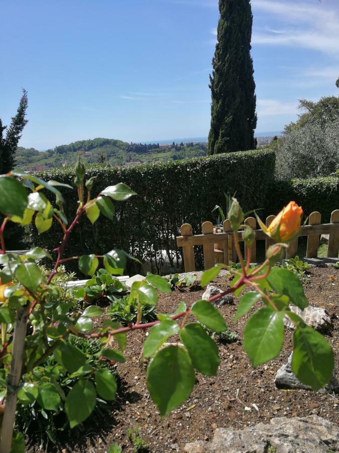 Da Adria Al Corvenale - Casa Vacanze Carrara -别墅 外观 照片